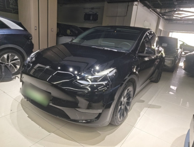 Tesla Model Y 2021 Tesla Model Y 2021 car image