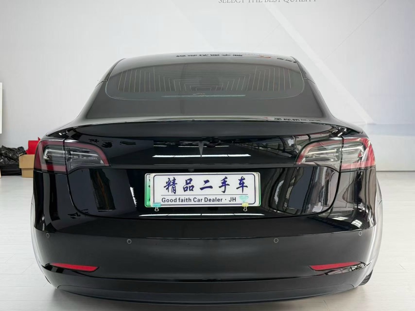 Tesla Model 3 2020 car image #8