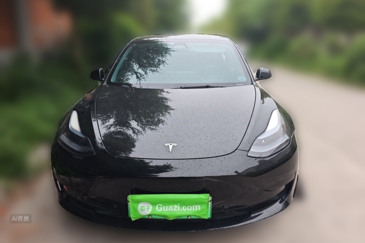Tesla Model 3 2022 car image #3