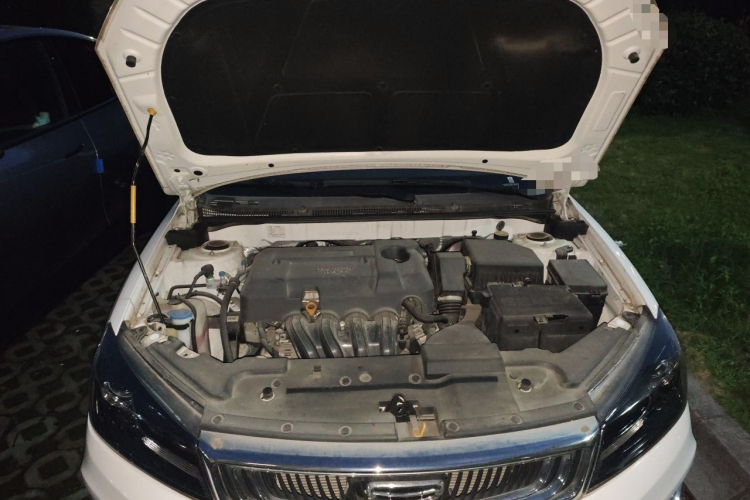 GEELY Emgrand 2020 car image #18
