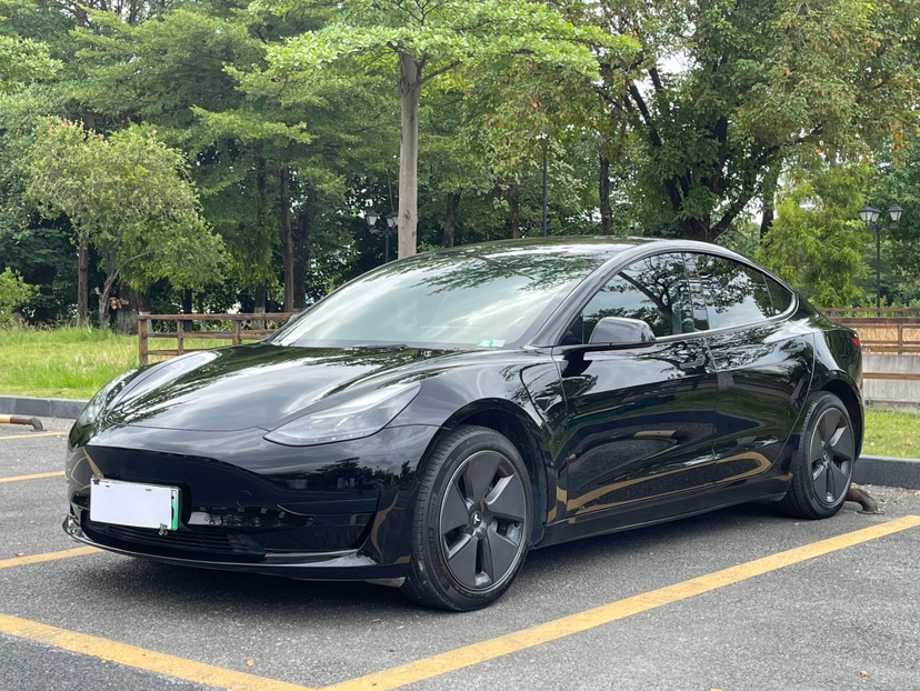 Tesla Model 3 2023 Tesla Model 3 2023 car image