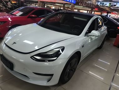 Tesla Model 3 2020 Tesla Model 3 2020 car image