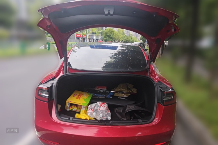 Tesla Model 3 2021 #21 Tesla Model 3 2021 car image #21