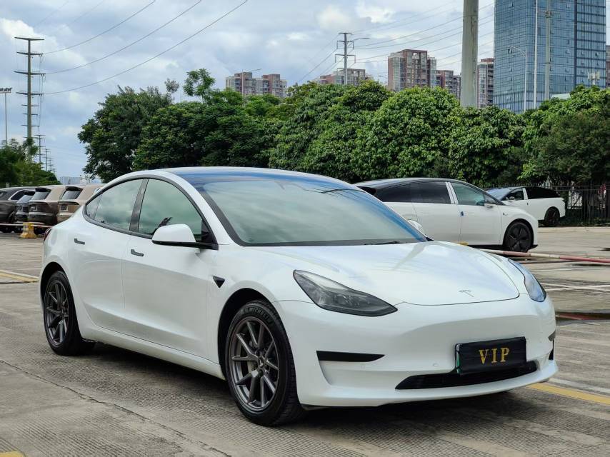 Tesla Model 3 2021 #3 Tesla Model 3 2021 car image #3