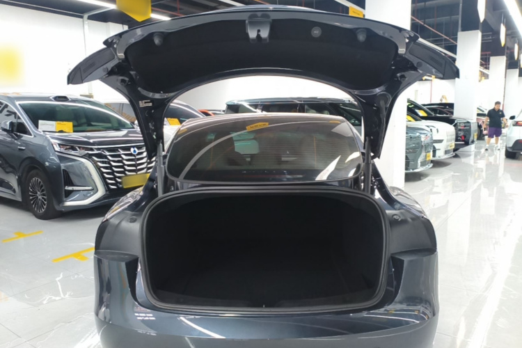 Tesla Model 3 2024 car image #19