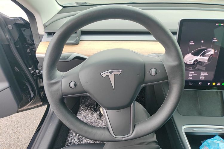 Tesla Model 3 2021 #11 Tesla Model 3 2021 car image #11