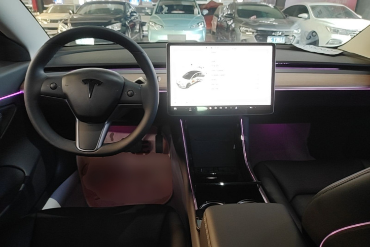 Tesla Model 3 2020 #10 Tesla Model 3 2020 car image #10