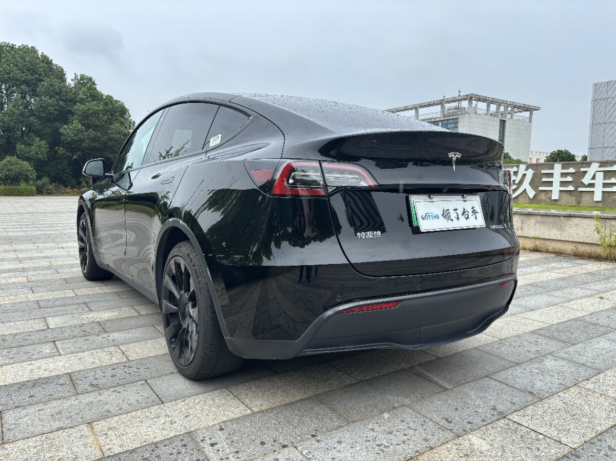 Tesla Model Y 2021 car image #6