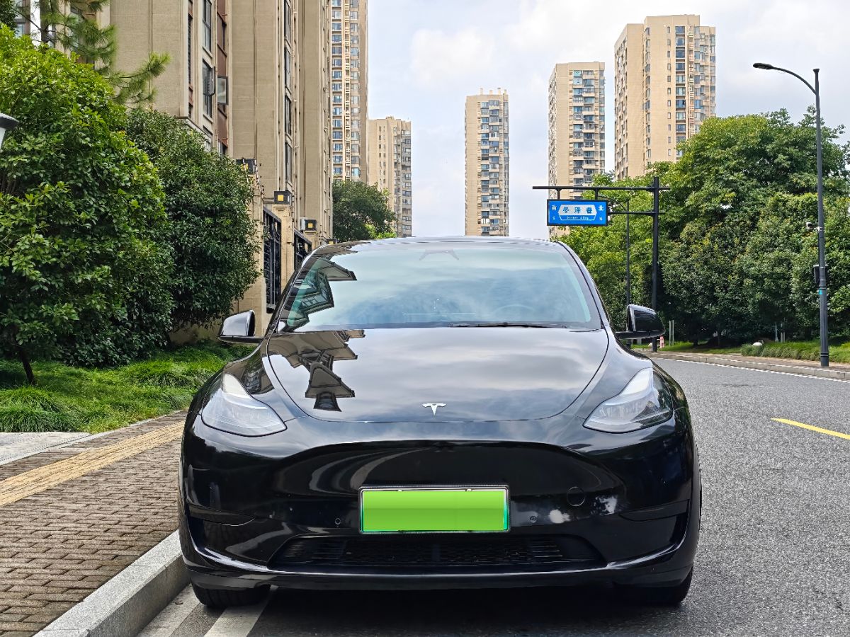 Tesla Model Y 2022 #2 Tesla Model Y 2022 car image #2