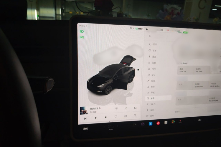 Tesla Model Y 2024 car image #13