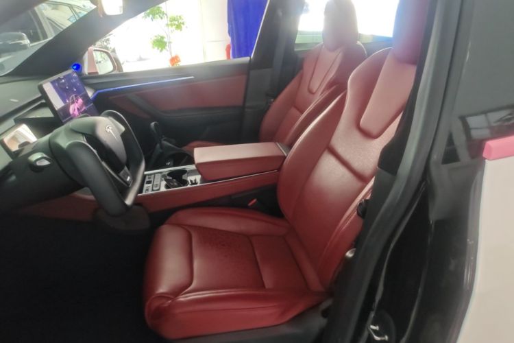 Tesla Model Y 2023 #15 Tesla Model Y 2023 car image #15