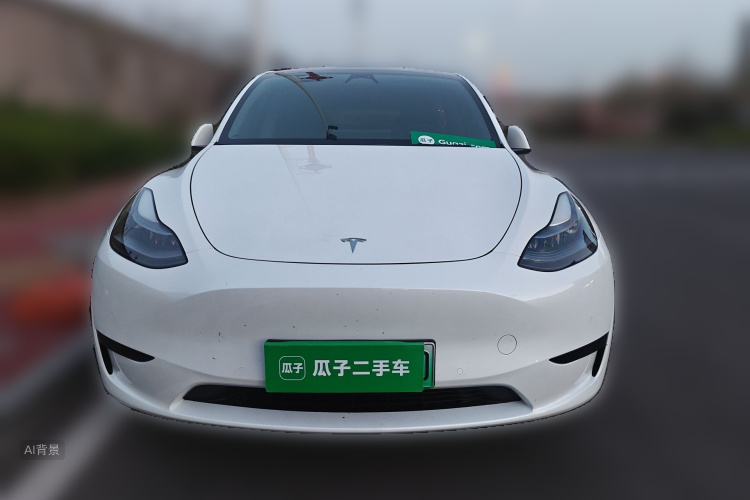 Tesla Model Y 2024 car image #3