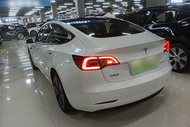 Tesla Model 3 2021 #5 Tesla Model 3 2021 car image #5