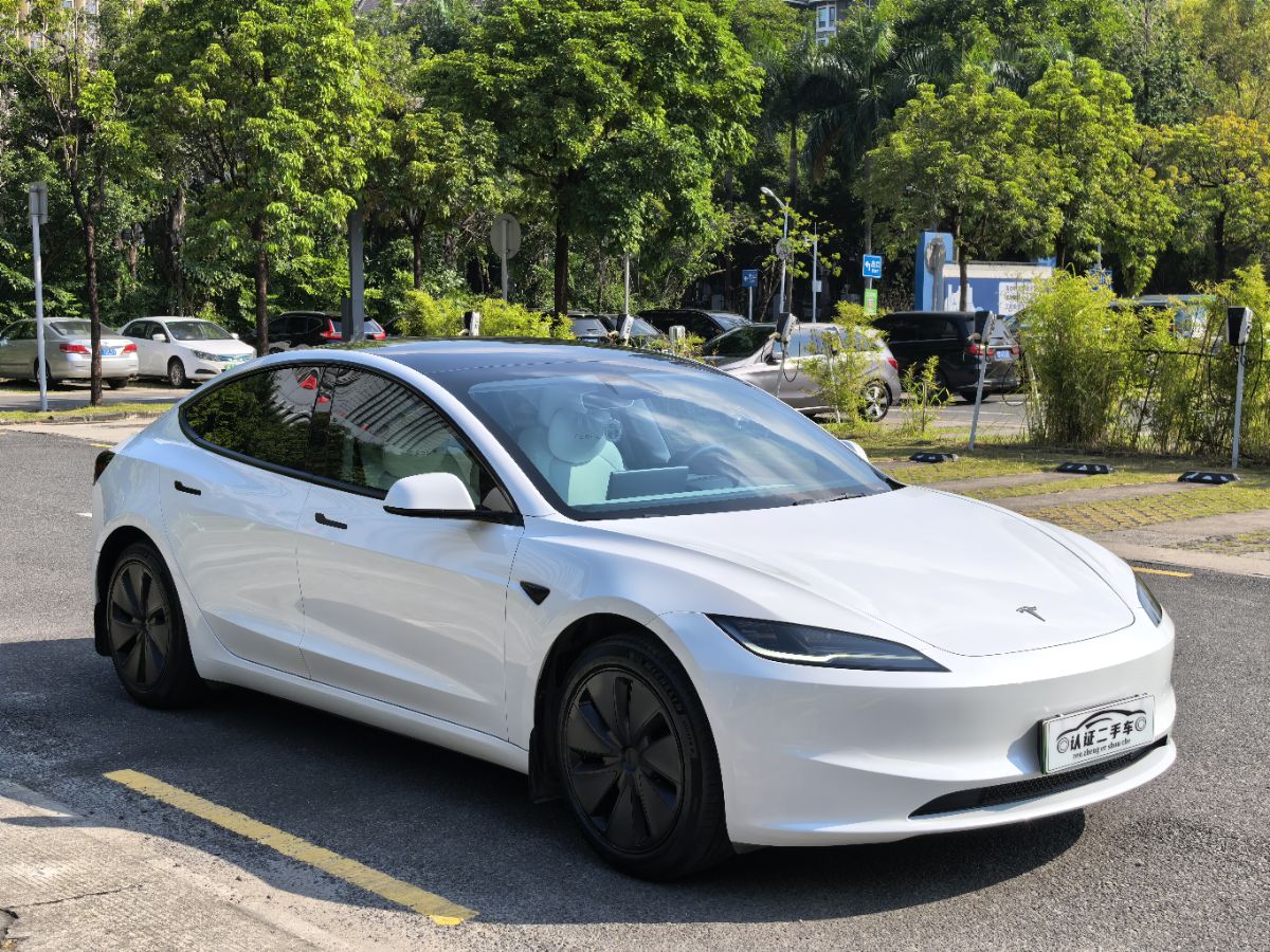 Tesla Model 3 2024 immagine di auto #3