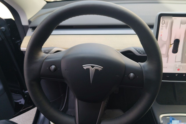 Tesla Model Y 2023 #11 Tesla Model Y 2023 car image #11