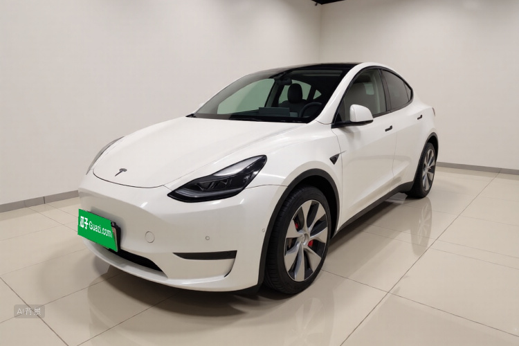 Tesla Model Y 2021 #2 Tesla Model Y 2021 car image #2