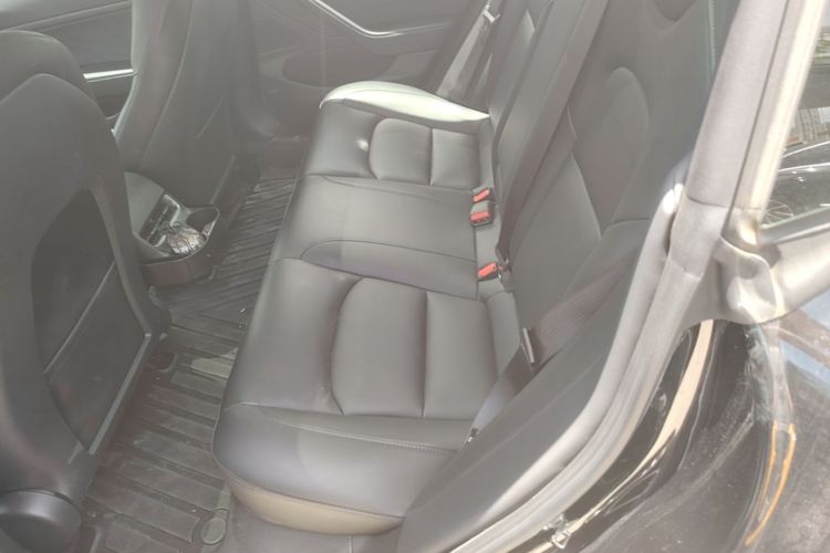 Tesla Model 3 2020 car image #17
