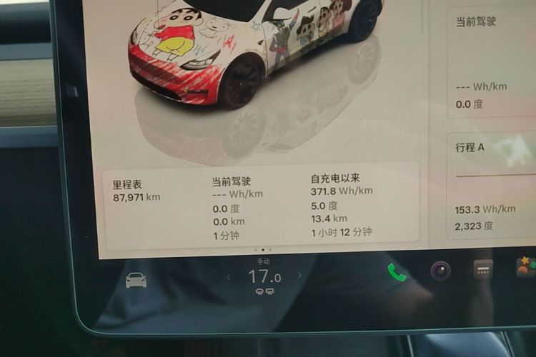 Tesla Model Y 2022 car image #16