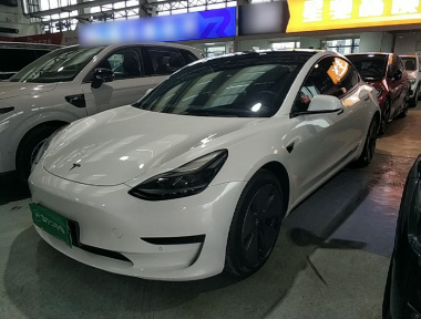 Tesla Model 3 2023 Tesla Model 3 2023 car image
