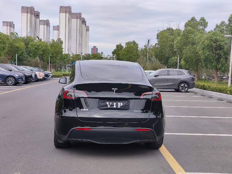 Tesla Model Y 2024 car image #9