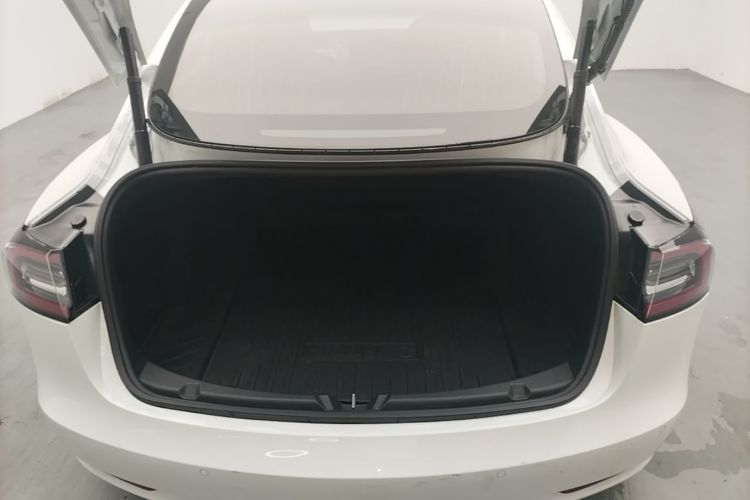 Tesla Model 3 2020 #19 Tesla Model 3 2020 car image #19