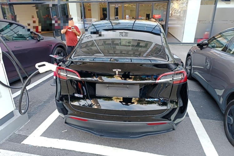 Tesla Model Y 2021 car image #6