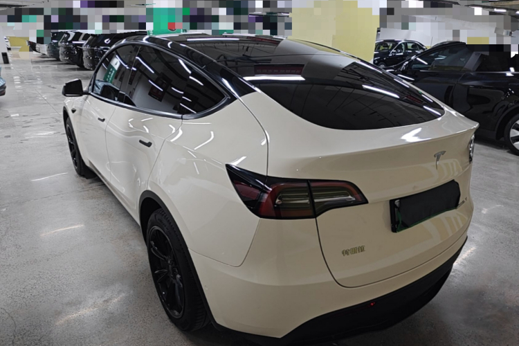 Tesla Model Y 2023 #5 Tesla Model Y 2023 car image #5