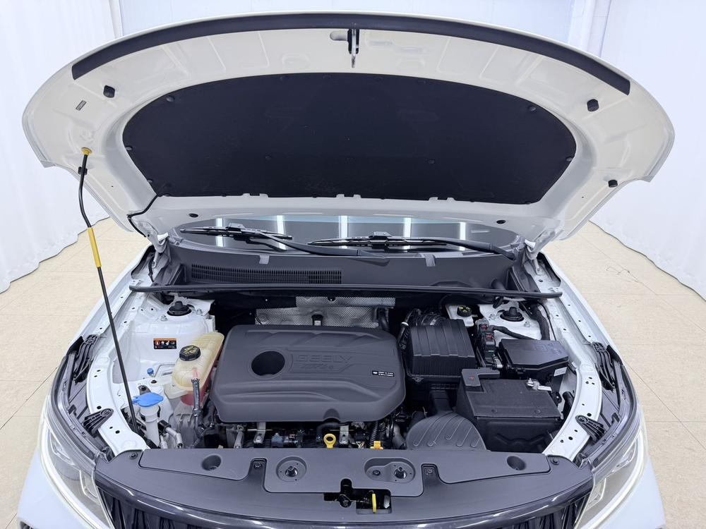 GEELY Vision X6 2021 immagine di auto #8