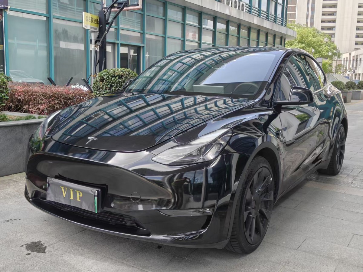 Tesla Model Y 2021 car image 