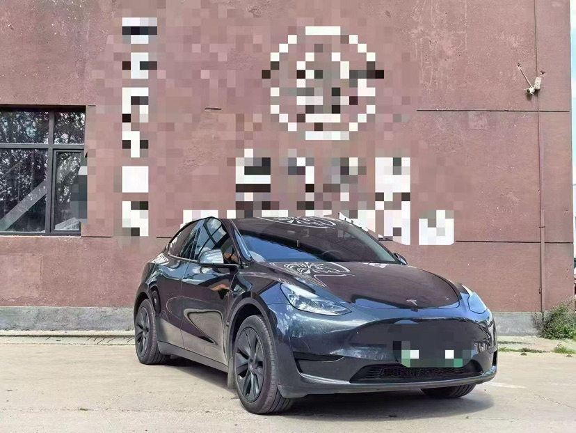 Tesla Model Y 2024 car image 