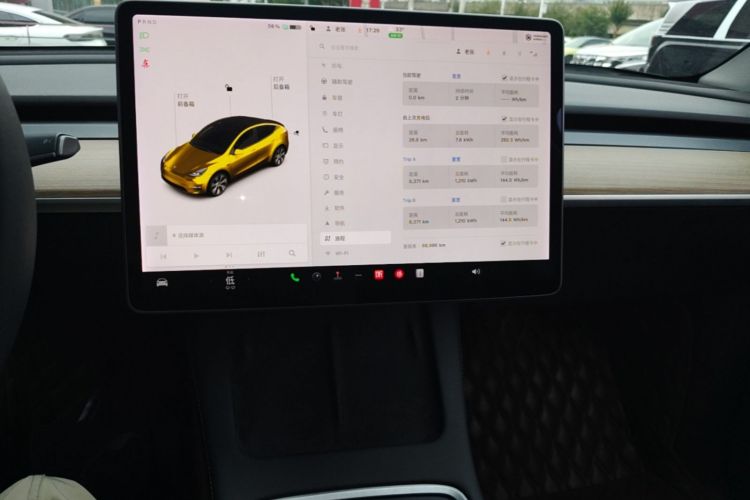 Tesla Model Y 2021 car image #13
