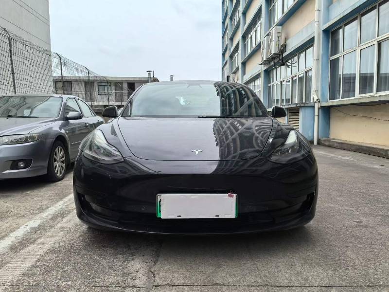 Tesla Model 3 2021 Tesla Model 3 2021 car image