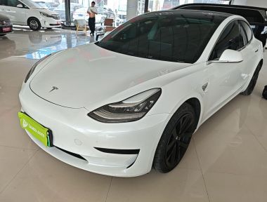 Tesla Model 3 2020 immagine di auto 