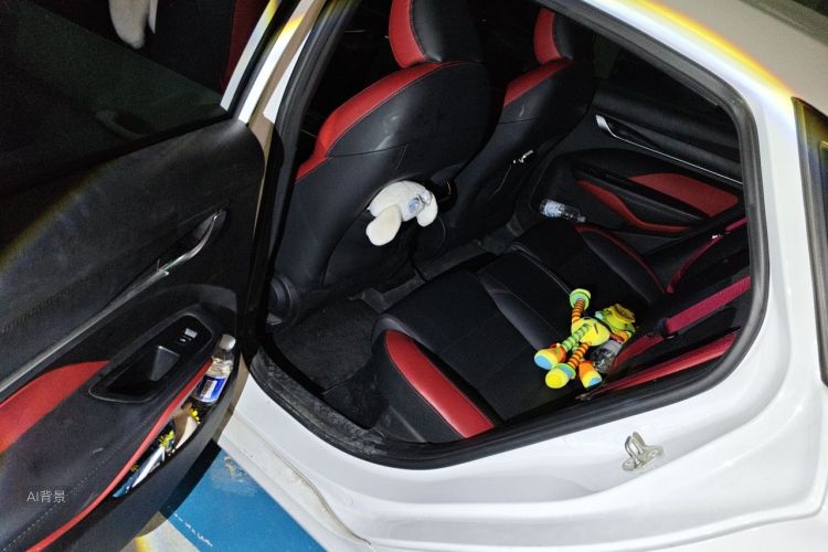 GEELY Binray 2021 #19 GEELY Binray 2021 car image #19
