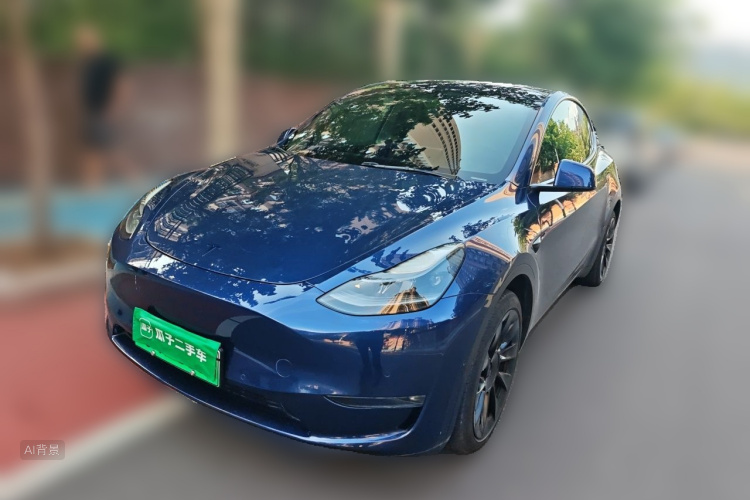 Tesla Model Y 2021 car image #2