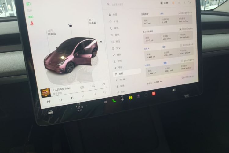 Tesla Model Y 2024 car image #13