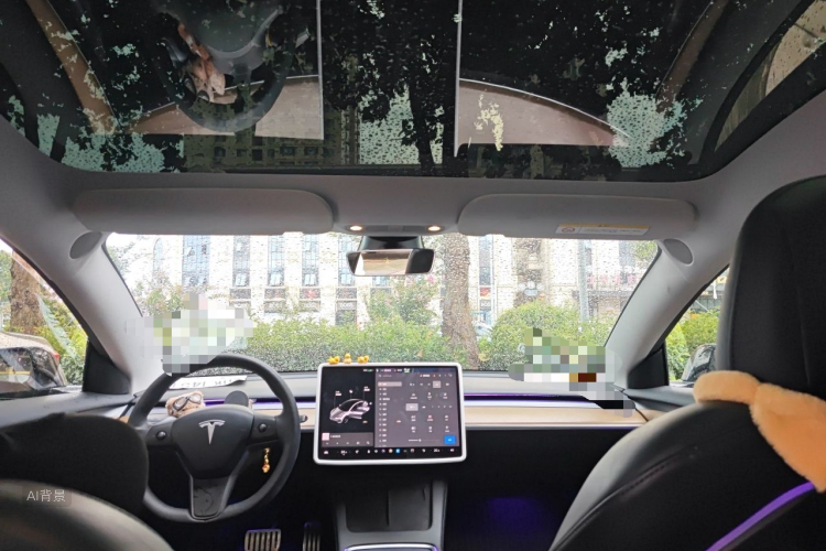 Tesla Model 3 2021 immagine di auto #20