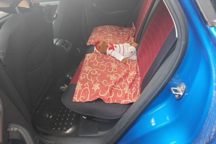 Audi Q3 2016 car image #19