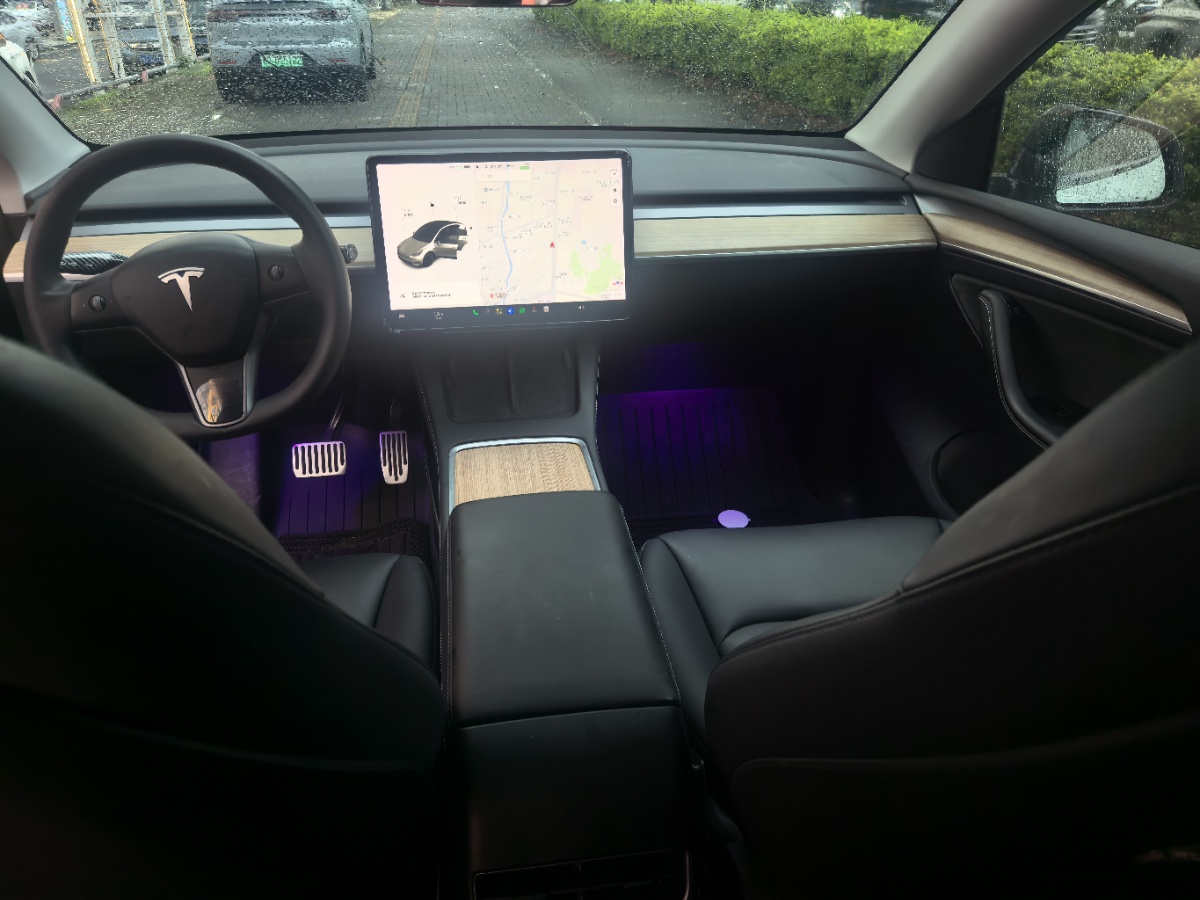 Tesla Model Y 2021 car image #11