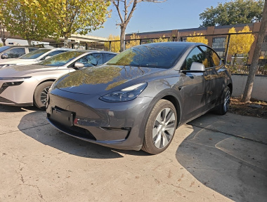 Tesla Model Y 2021 Tesla Model Y 2021 imagen de coche