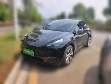 Tesla Model Y 2021 Tesla Model Y 2021 car image
