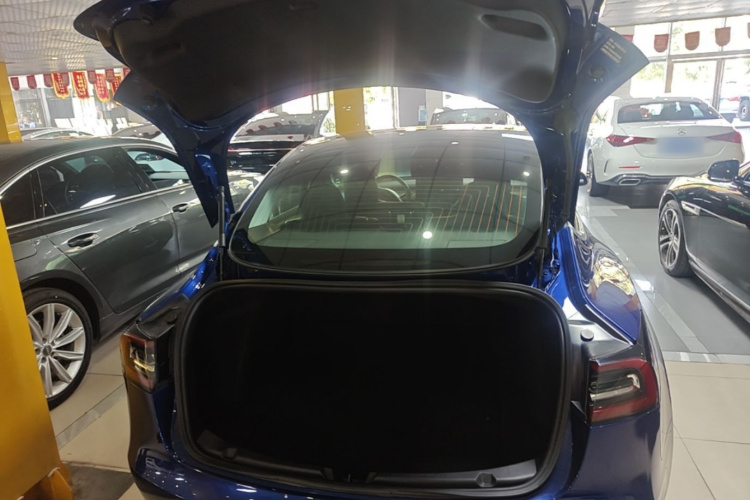 Tesla Model 3 2020 #19 Tesla Model 3 2020 car image #19