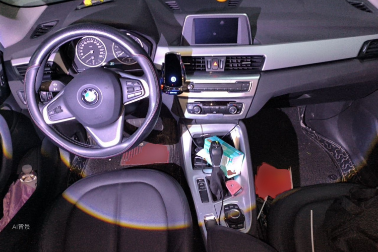 BMW X1 2018 car image #11
