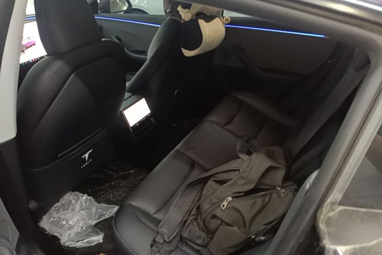 Tesla Model 3 2023 #17 Tesla Model 3 2023 car image #17