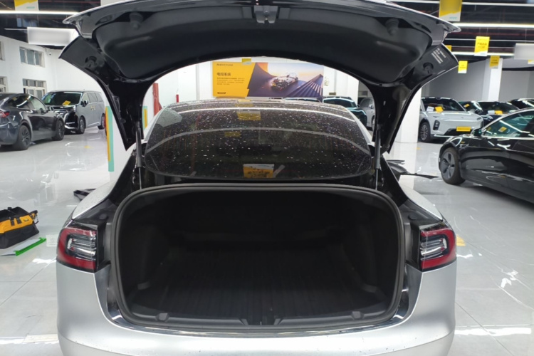 Tesla Model 3 2020 #19 Tesla Model 3 2020 car image #19