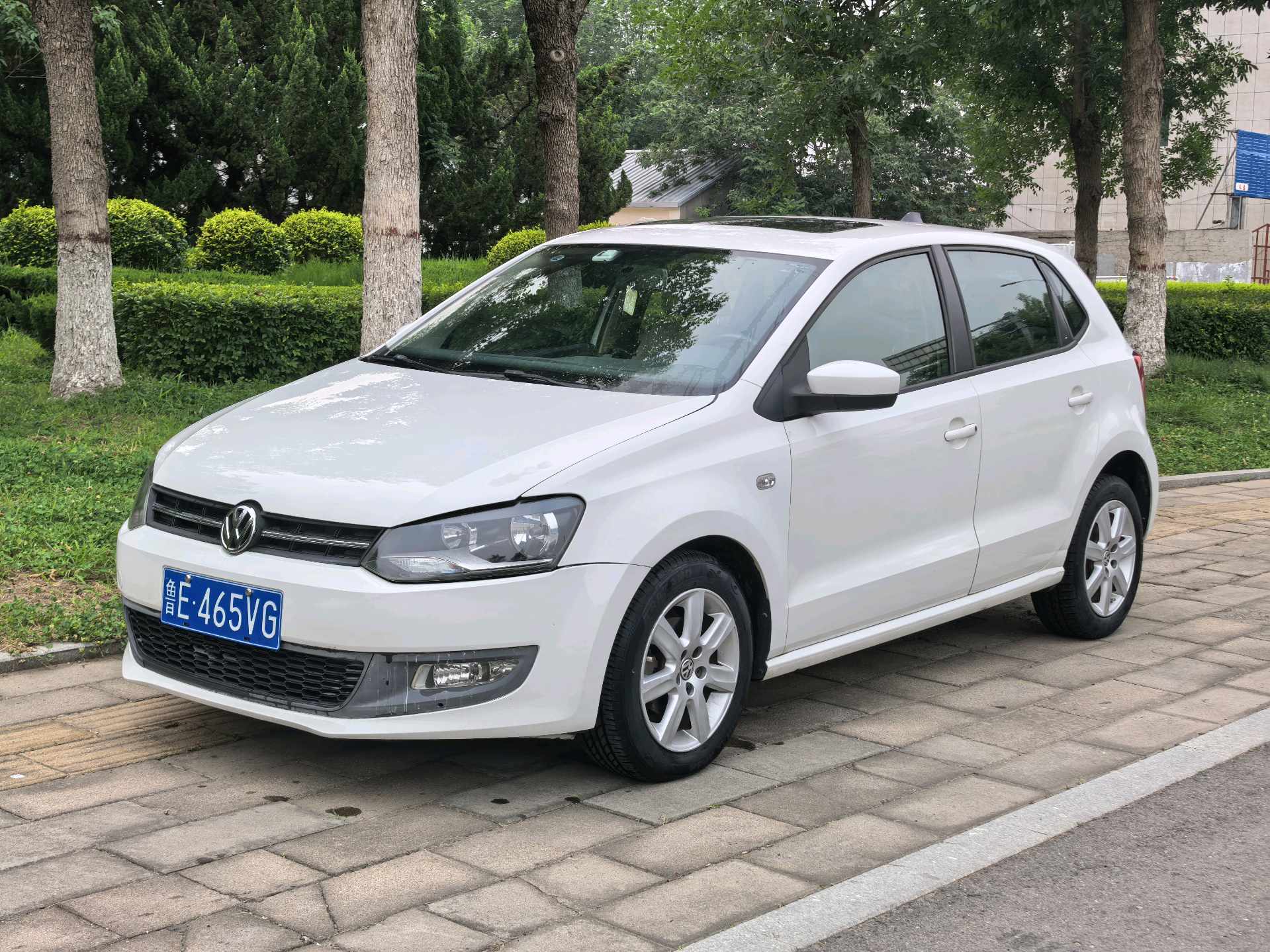 Volkswagen Polo 2013 Volkswagen Polo 2013 car image