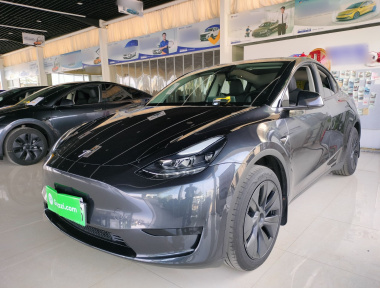 Tesla Model Y 2024 car image 