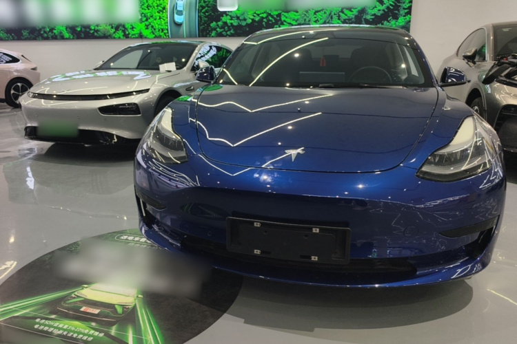 Tesla Model 3 2021 #3 Tesla Model 3 2021 car image #3