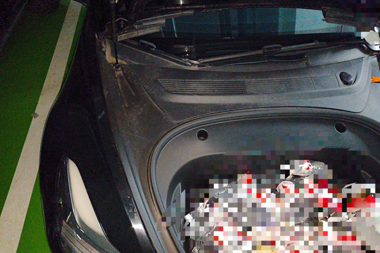 Tesla Model 3 2021 car image #28