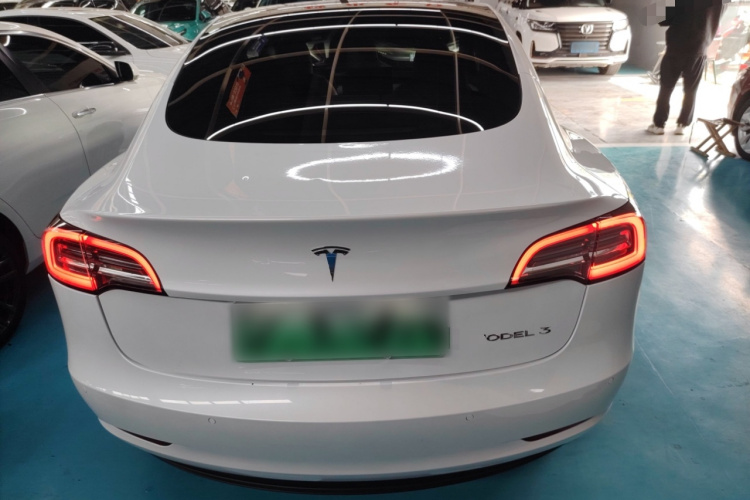 Tesla Model 3 2021 car image #6